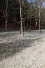 SNĚŽENKOVÉ ÚDOLÍ